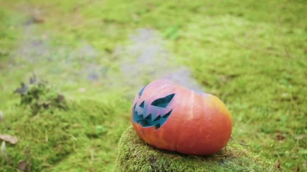 Halloween-Kürbis mit farbigem Rauch im herbstlichen Wald — Stockvideo