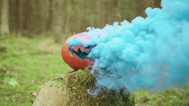 Хэллоуин тыква с цветным дымом в осеннем лесу — стоковое видео
