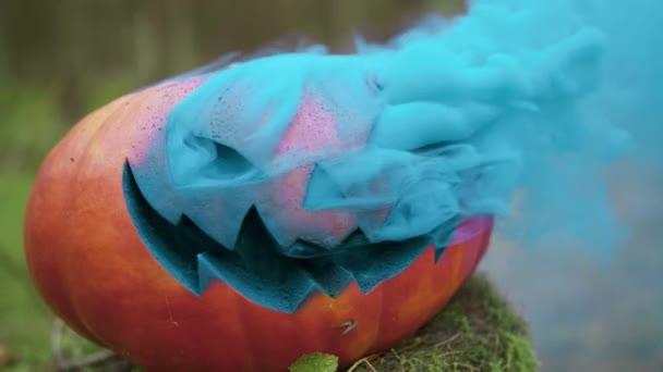 Abóbora de Halloween com fumaça colorida na floresta de outono — Vídeo de Stock