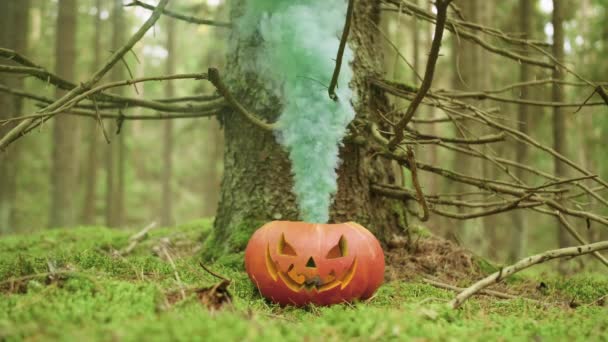 Halloween pumpa med färgad rök i höstskogen — Stockvideo