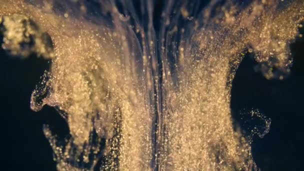 Las partículas de tinta dorada fluyen en el agua como caos colorido en el fondo negro — Vídeo de stock