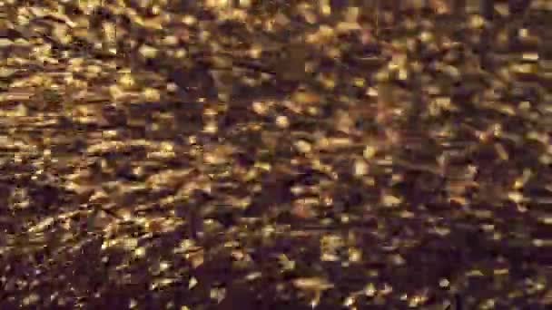 Des particules d'or abstraites avec un bokeh flou et déconcentré bouge chaos, flocons de neige — Video