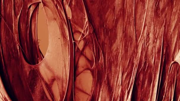 Dehnung und Ruptur von Bändern und Sehnen bei längerer Muskelbelastung — Stockvideo