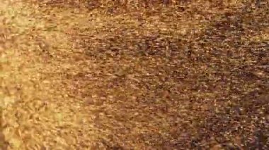 Bulanık çözünmüş bokeh ile soyut altın parçacıklar kaosu ve kar tanelerini hareket ettirir