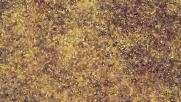 Abstraktní zlaté částice s rozmazaným rozostřeným bokeh pohybuje chaos, sněhové vločky — Stock video