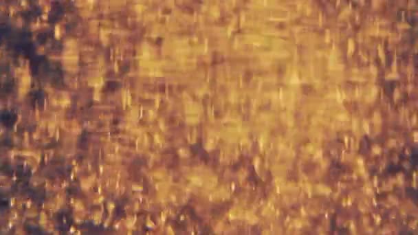 Partículas douradas abstratas com bokeh desfocado desfocado se move caos, flocos de neve — Vídeo de Stock