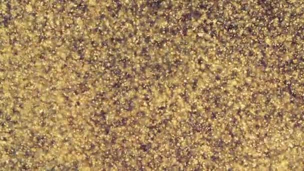 Bulanık çözünmüş bokeh ile soyut altın parçacıklar kaosu ve kar tanelerini hareket ettirir — Stok video