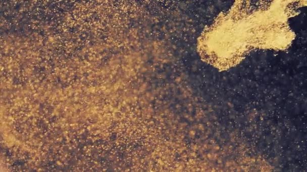 Абстрактные золотые частицы с размытым боке двигают хаос, снежные хлопья — стоковое видео