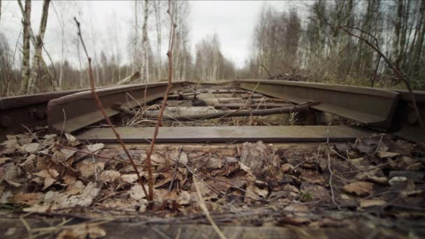 Mekanisme otomatis beralih panah trek di kereta api di hutan musim gugur — Stok Video