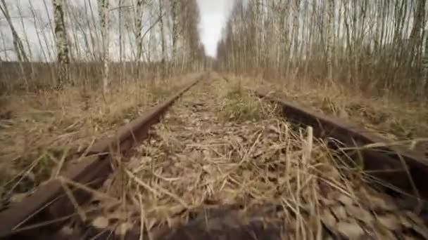 Εγκαταλελειμμένο στενό εύρος σιδηροδρόμου στο δάσος, ημέρα του φθινοπώρου, άποψη χαμηλής γωνίας — Αρχείο Βίντεο