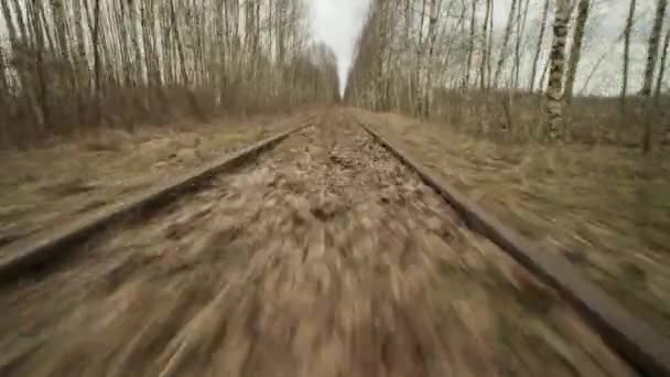 Opuszczona kolejka wąskotorowa w lesie, jesienny dzień, widok z niskiego kąta — Wideo stockowe