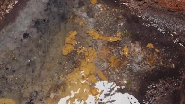 Well sewage, feces, shit, wastewater, pollution — Stok video