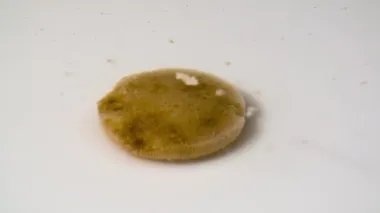 Suda çözünen bir hap makro döndürme masasında hızlanır