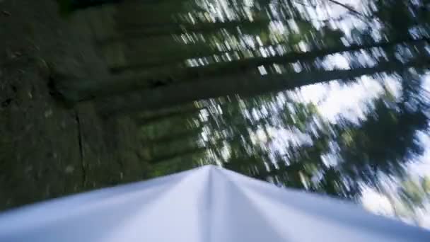 Бумажный самолет быстро летает в лесу, точка зрения, POV — стоковое видео