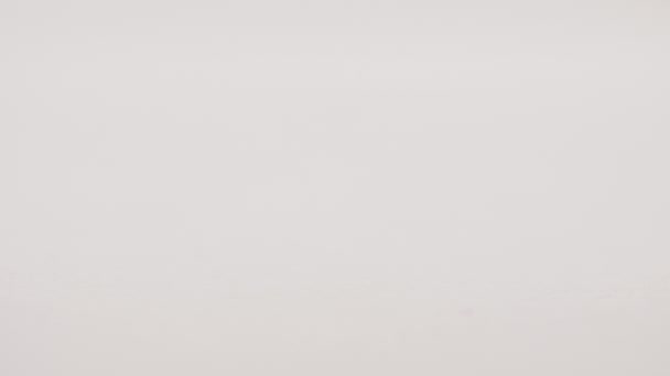 Gouttes rouges isolées de sang sur papier blanc, macro 