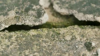 Makro beton zemin dokusu, düz doli çekim