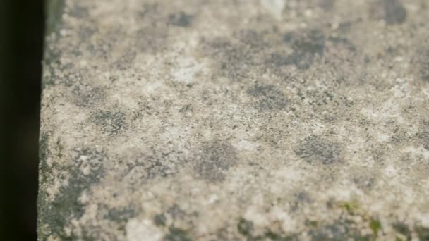 Textura de piso de concreto em macro, suave dolly shot — Vídeo de Stock