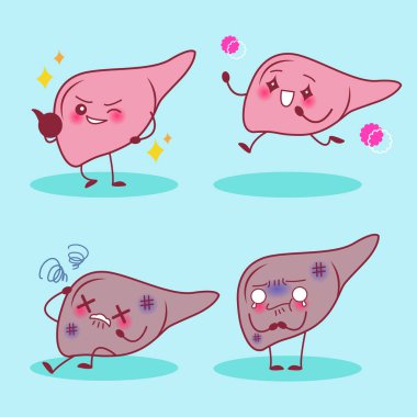 sağlıklı karaciğer ve hasta karaciğer