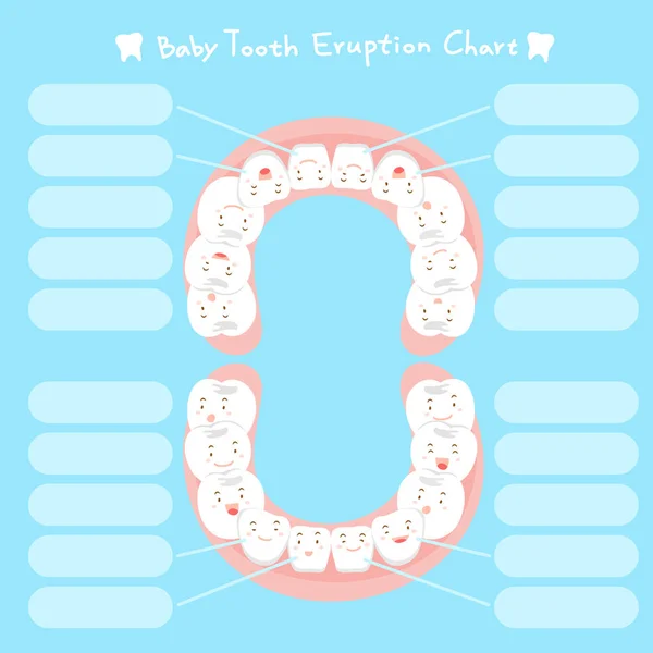 Cartoon baby tand utbrott diagram — Stock vektor