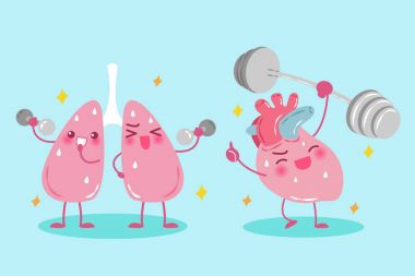 çizgi film akciğer ve kalp