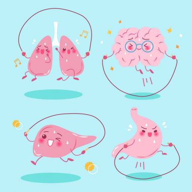 çizgi film organları egzersiz yapmak