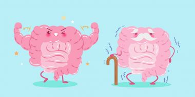 bağırsak sağlık kavramı ile