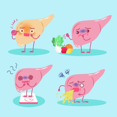 karaciğer sağlığı kavramı ile