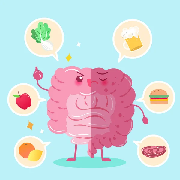 bağırsak sağlık kavramı ile