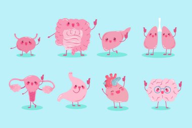 sevimli çizgi farklı organ