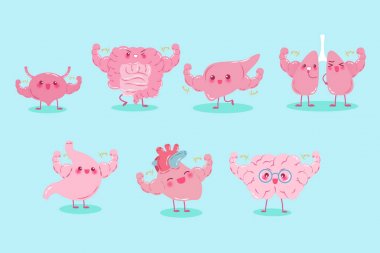 sevimli çizgi farklı organ