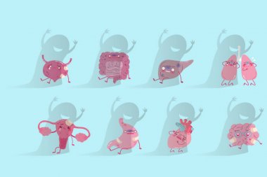 çizgi film farklı organ