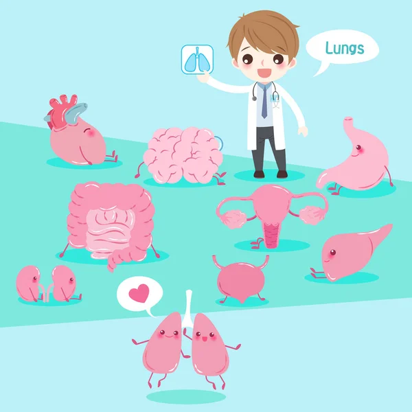 Cartoon doctor with organ — Stock Illustration Cartoon doctor with organ Stock Illustration