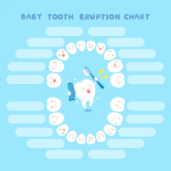 Cartoon baby tand utbrott diagram — Stock vektor