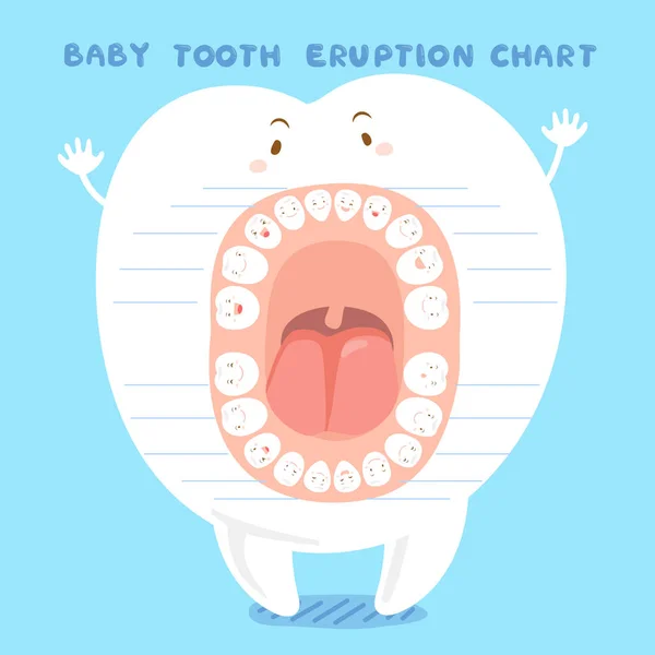 Carta de erupción de dientes de bebé de dibujos animados — Archivo Imágenes Vectoriales