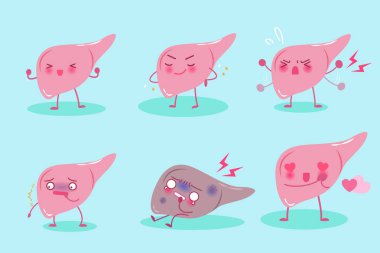 sevimli çizgi karaciğer