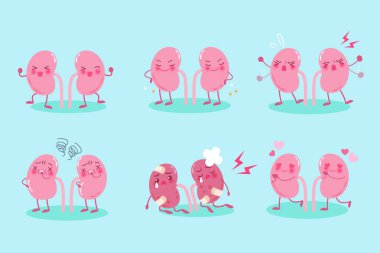 sevimli çizgi böbrek