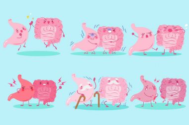 çizgi film mide ve bağırsak