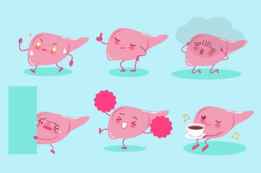 sevimli çizgi karaciğer