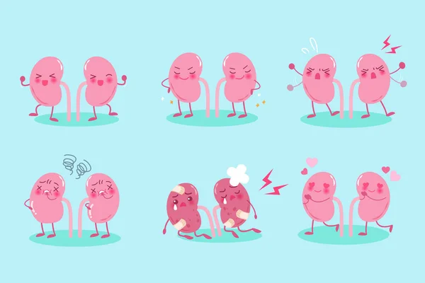 Cute cartoon kidney — Stock Vector