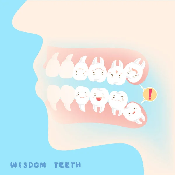 Симпатичные зубы мудрости — стоковый вектор