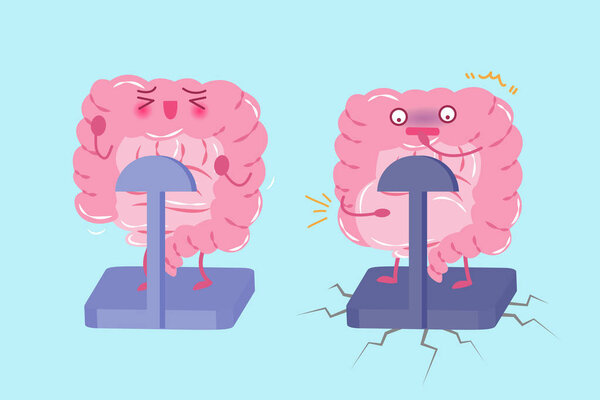 intestine with health concept