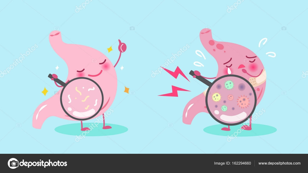 Cute cartoon stomach Stock Vector Image by ©estherqueen999 #162294660