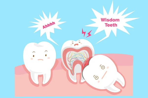 Cute cartoon wisdom teeth — Stock Vector