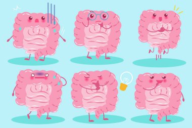 sevimli çizgi bağırsak