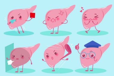 sevimli çizgi karaciğer