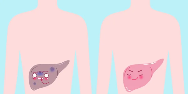 Милі мультфільми печінки — стоковий вектор