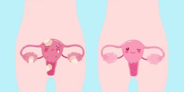 cute cartoon uterus clipart
