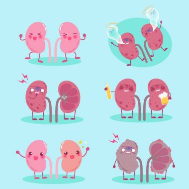 sağlıklı sorun böbrekle