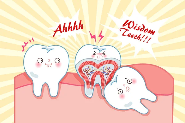 Cute cartoon wisdom teeth — Stock Vector