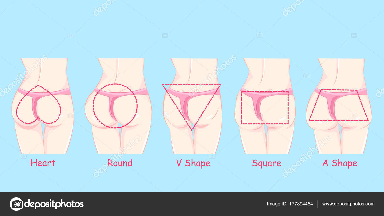 Different butt shape Stock Vector by ©estherqueen999 177894454